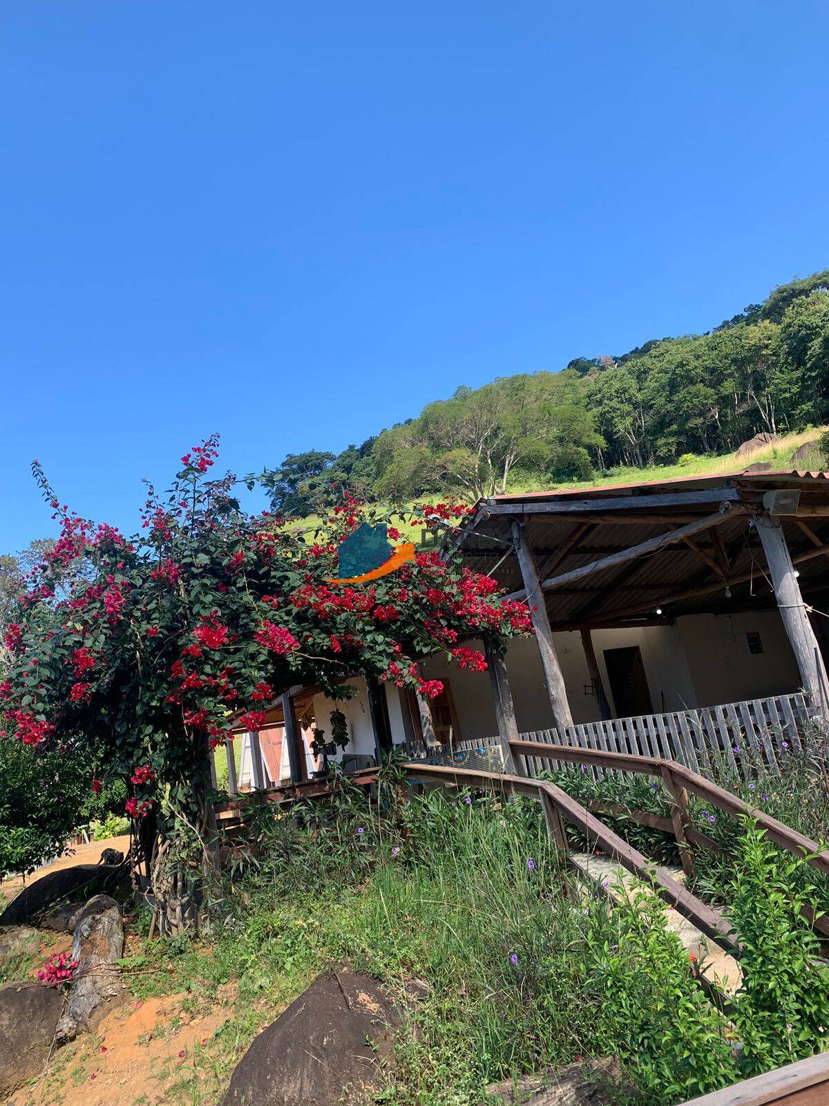 Fazenda à venda com 5 quartos, 5m² - Foto 23