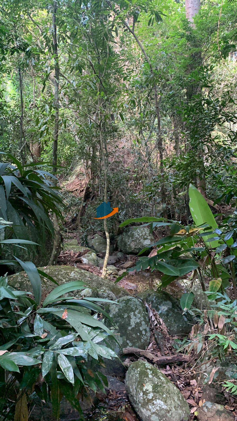 Fazenda à venda com 5 quartos, 5m² - Foto 40